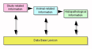 Schematical structure of the RITA Data Base
